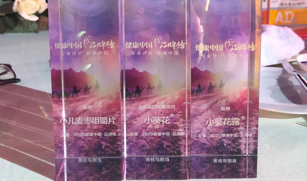 小葵花綻放西普會，榮獲三項(xiàng)大獎